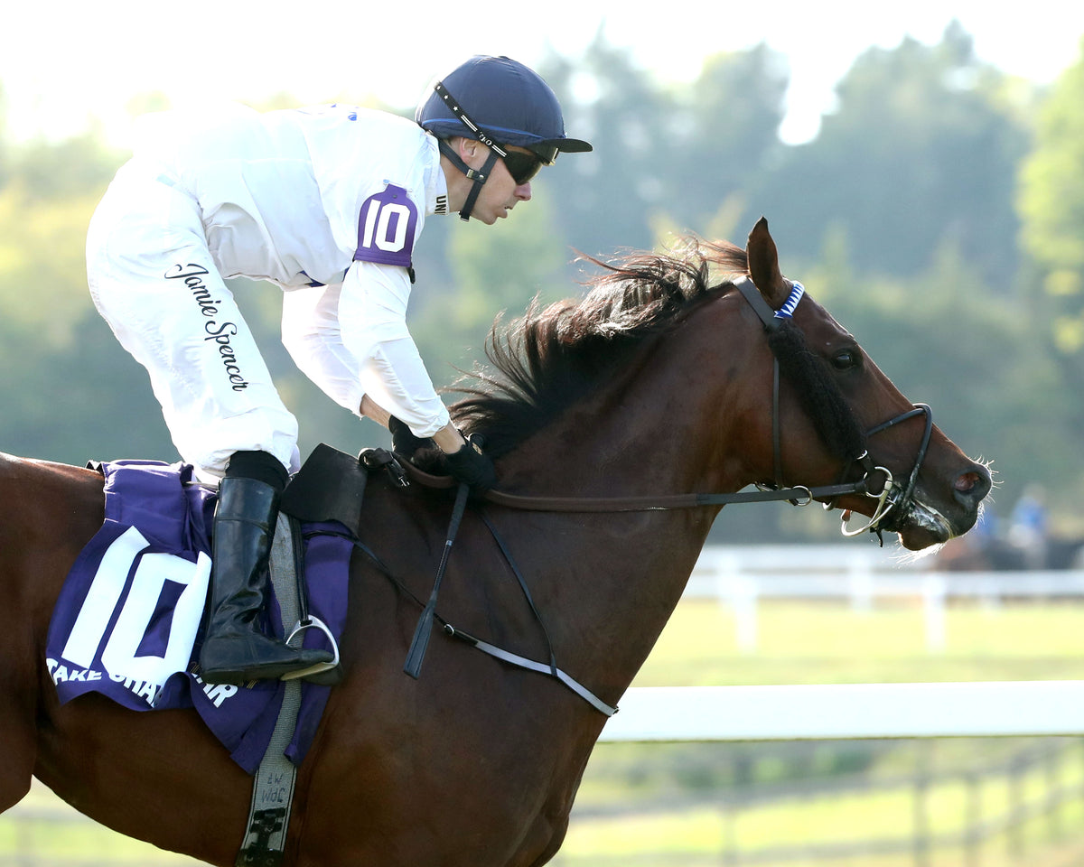 TAKE CHARGE STAR - The Mint Franklin-Simpson Stakes G2 - 09-07-26 - R11 - KD - Gallop Out 01
