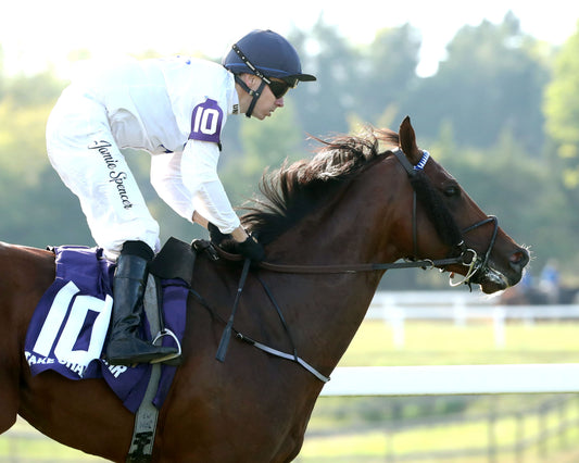 TAKE CHARGE STAR - The Mint Franklin-Simpson Stakes G2 - 09-07-26 - R11 - KD - Gallop Out 01