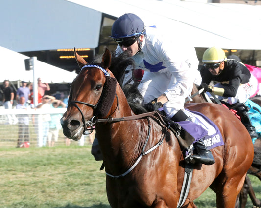 TAKE CHARGE STAR - The Mint Franklin-Simpson Stakes G2 - 09-07-26 - R11 - KD - Inside Finish 01