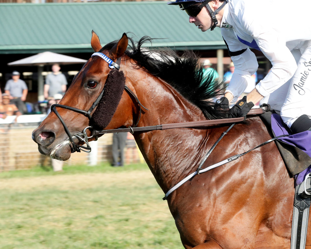 TAKE CHARGE STAR - The Mint Franklin-Simpson Stakes G2 - 09-07-26 - R11 - KD - Inside Finish 02