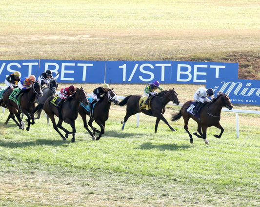 TAKE CHARGE STAR - The Mint Franklin-Simpson Stakes G2 - 09-07-26 - R11 - KD - Up Track 01