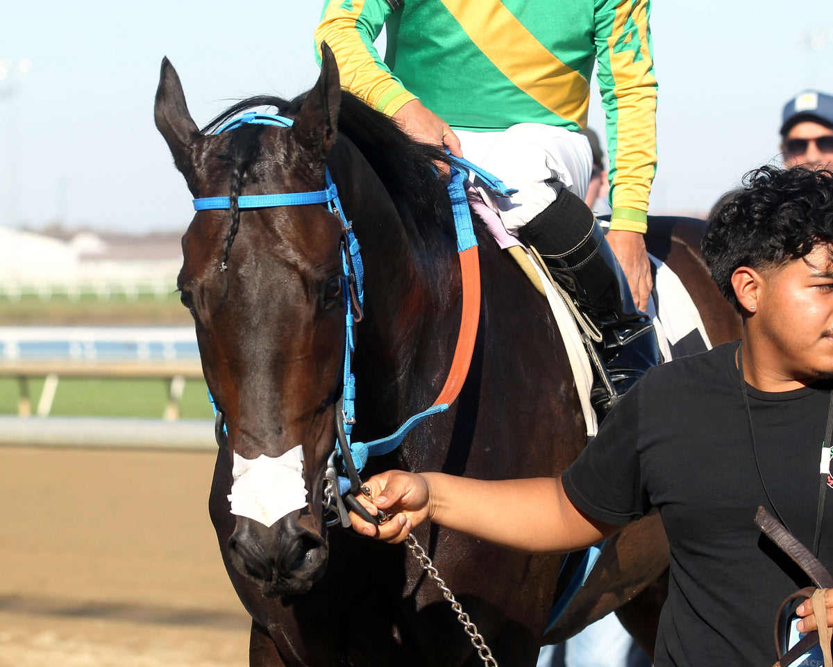 TAKEITANDRUN - Strong Tide Overnight Handicap - 2nd Running - 10-28-26 - R06 - Horseshoe Indiana - Comeback 01 - Casey Cable - Coady Media - Kurtis Coady Photography