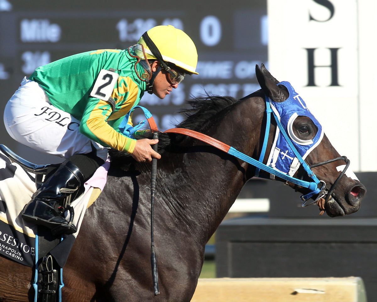 TAKEITANDRUN - Strong Tide Overnight Handicap - 2nd Running - 10-28-26 - R06 - Horseshoe Indiana - Tight Finish 01 - Casey Cable - Coady Media - Kurtis Coady Photography