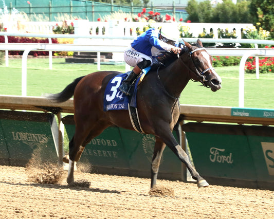 TAKEN BY THE WIND - 091325 - Race 06 - CD - Finish 02 - Coady Media - Kurtis Coady Photography