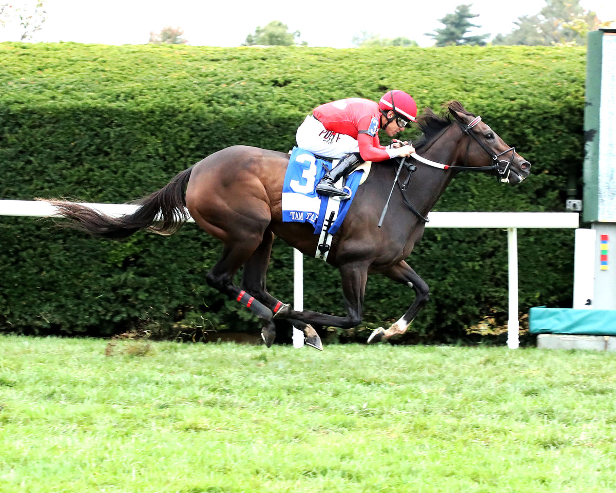 TAM TAM - 101026 - Race 09 - KEE  The Queen Elizabeth II Challenge Cup GI - Finish 01