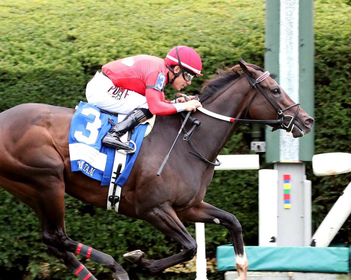 TAM TAM - 101026 - Race 09 - KEE  The Queen Elizabeth II Challenge Cup GI - Finish 02