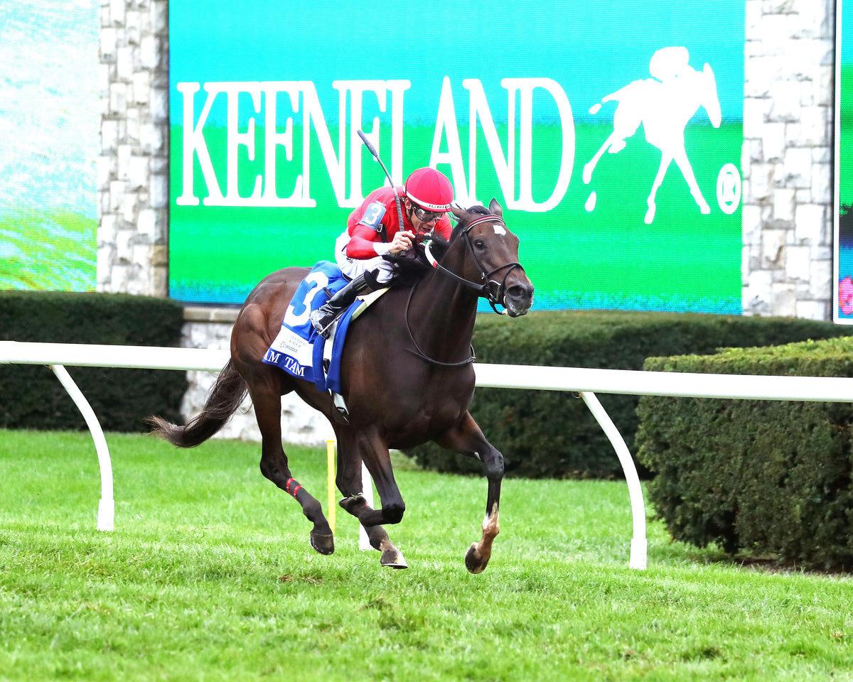 TAM TAM - 101026 - Race 09 - KEE  The Queen Elizabeth II Challenge Cup GI - Finish 04