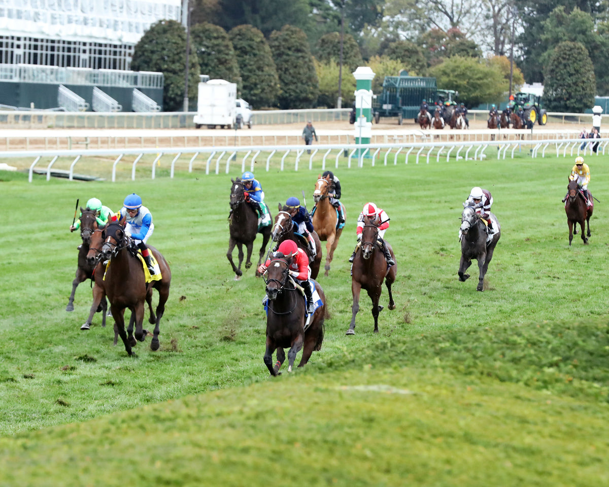 TAM TAM - 101026 - Race 09 - KEE  The Queen Elizabeth II Challenge Cup GI - Inside Finish 04