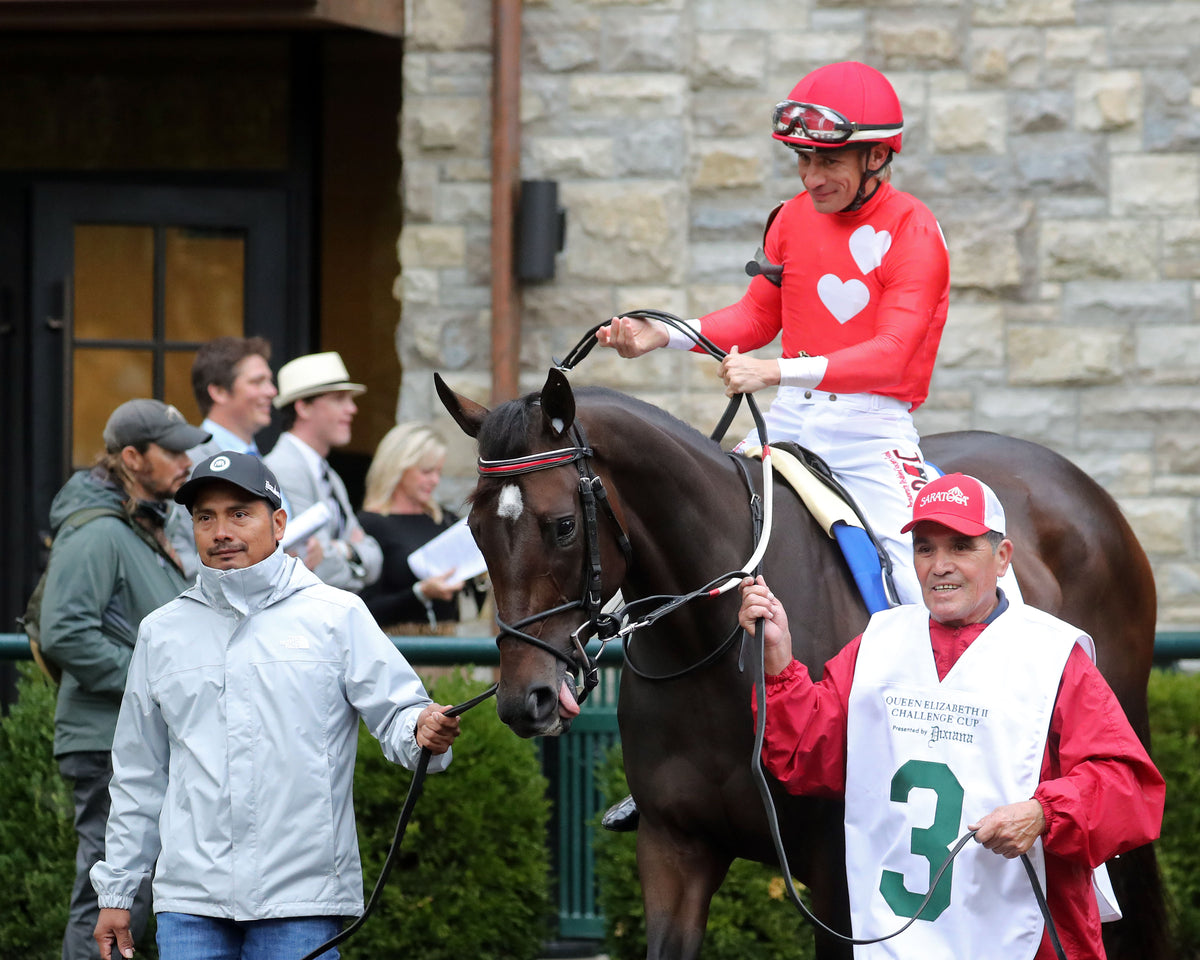TAM TAM - 101026 - Race 09 - KEE  The Queen Elizabeth II Challenge Cup GI - Paddock 01