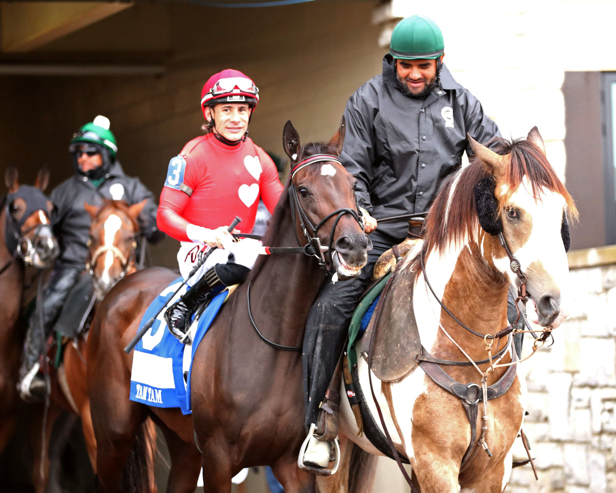 TAM TAM - 101026 - Race 09 - KEE  The Queen Elizabeth II Challenge Cup GI - Post Parade 01