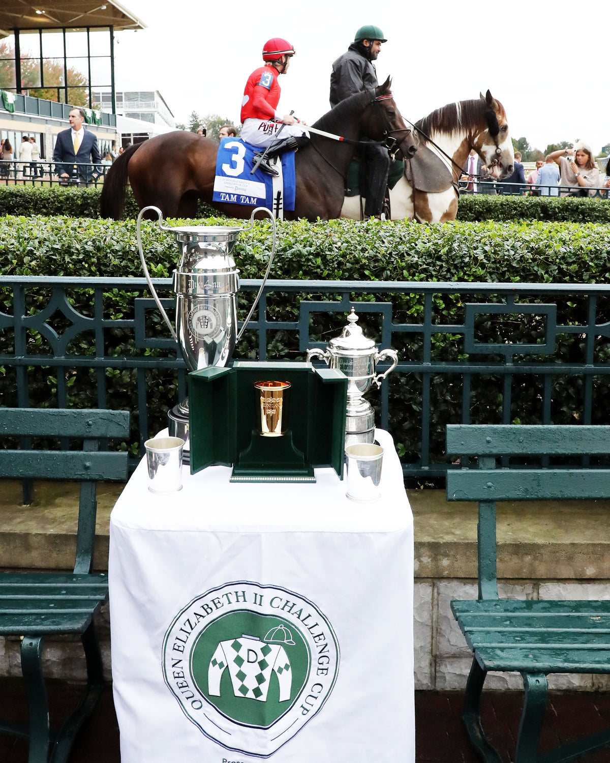 TAM TAM - 101026 - Race 09 - KEE  The Queen Elizabeth II Challenge Cup GI - Post Parade 02