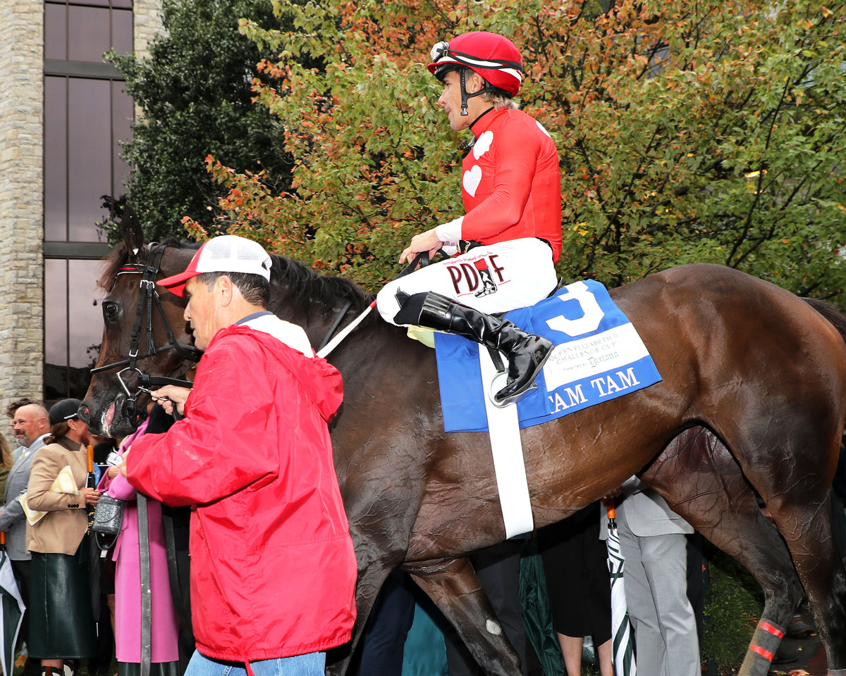 TAM TAM - 101026 - Race 09 - KEE  The Queen Elizabeth II Challenge Cup GI - Walk In 02