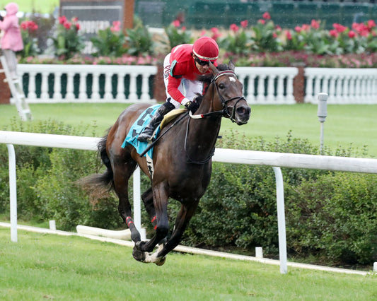 TAM TAM  - The Tepin - 062726 - Race 12 - CD - Gallop Out 01