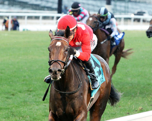 TAM TAM  - The Tepin - 062726 - Race 12 - CD - Inside Finish 01