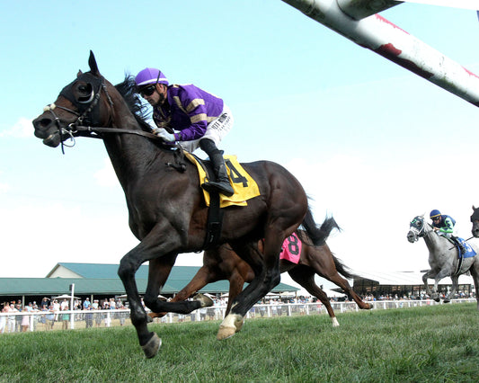 TAWNY PORT - Bowling Green Gold Cup Invitational - 09-09-26 - R10 - KD - Under Rail 01