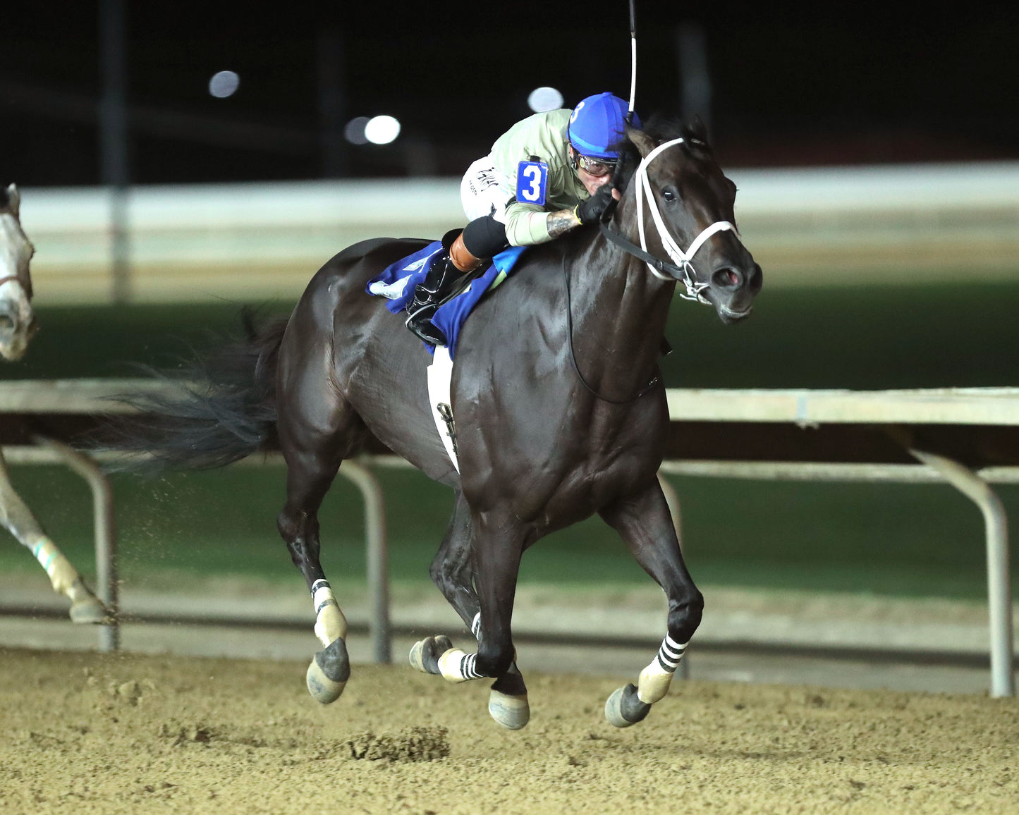 TEACHINTHERELEASE  - Frank Gall Memorial  - 08-28-26 - R12 - CT - Finish 02