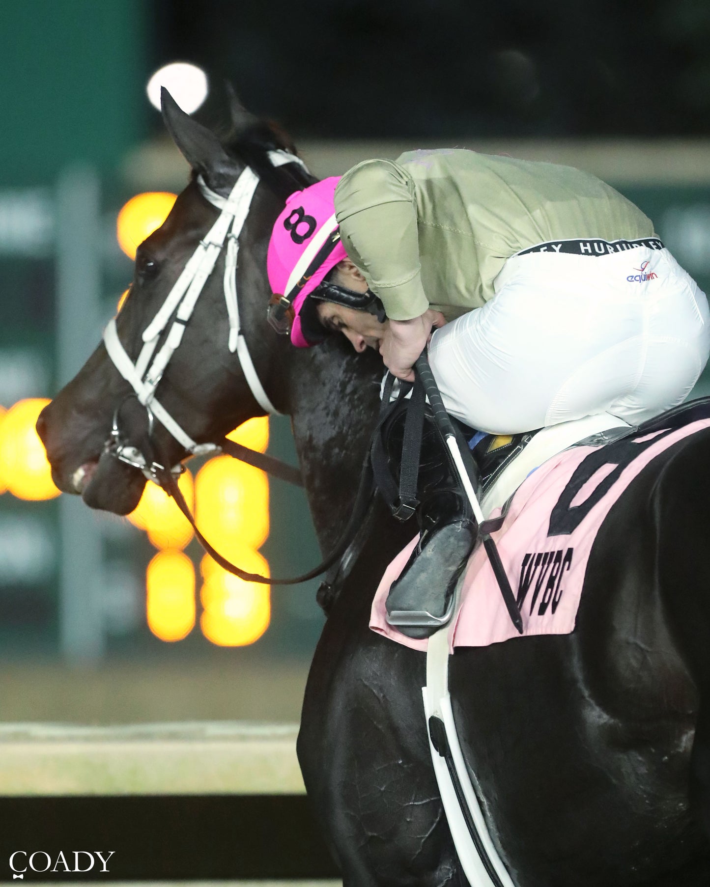 TEACHINTHERELEASE - 101125 - Race 09 - CT  The Sam Huff West Virginia Breeders' Classic Stakes - Come Back 02