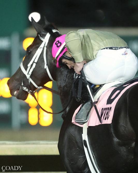 TEACHINTHERELEASE - 101125 - Race 09 - CT  The Sam Huff West Virginia Breeders' Classic Stakes - Come Back 02