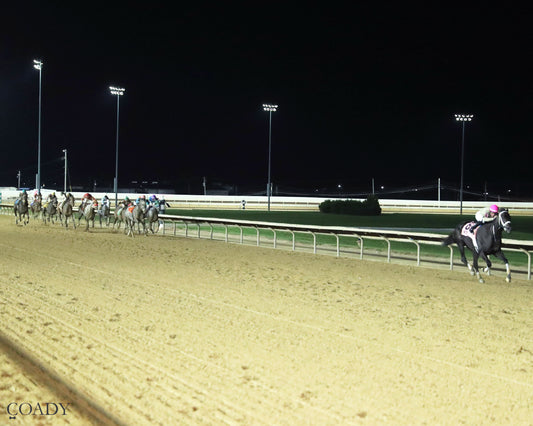 TEACHINTHERELEASE - 101125 - Race 09 - CT  The Sam Huff West Virginia Breeders' Classic Stakes - Up The Track 01