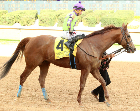 TEJANO TWIST - Whitmore Stakes G3 - 03-14-26 - R10 - OP - Come Back 03 - Coady Media - Kurtis Coady Photography