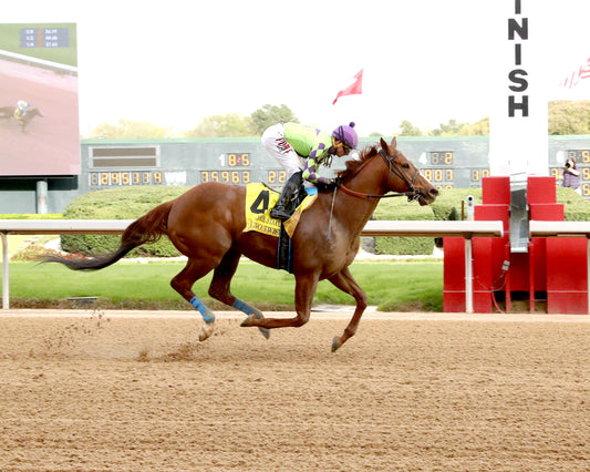 TEJANO TWIST - Whitmore Stakes G3 - 03-14-26 - R10 - OP - Finish 01 - Coady Media - Kurtis Coady Photography