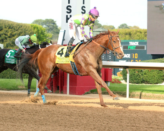 TEJANO TWIST - Whitmore Stakes G3 - 03-14-26 - R10 - OP - Finish 02 - Coady Media - Kurtis Coady Photography