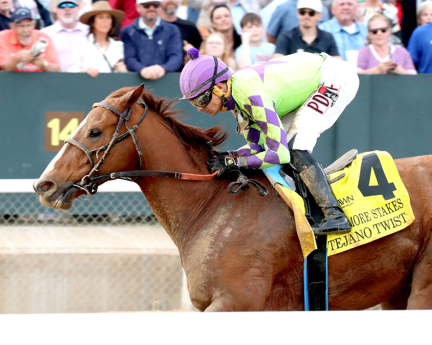 TEJANO TWIST - Whitmore Stakes G3 - 03-14-26 - R10 - OP - Inside Finish 01 - Coady Media - Kurtis Coady Photography