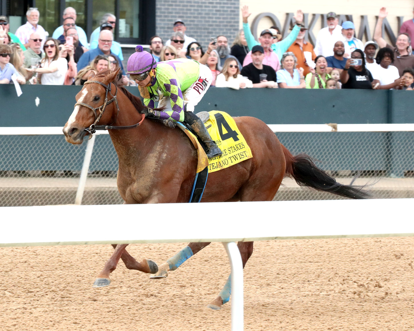 TEJANO TWIST - Whitmore Stakes G3 - 03-14-26 - R10 - OP - Inside Finish 02 - Coady Media - Kurtis Coady Photography