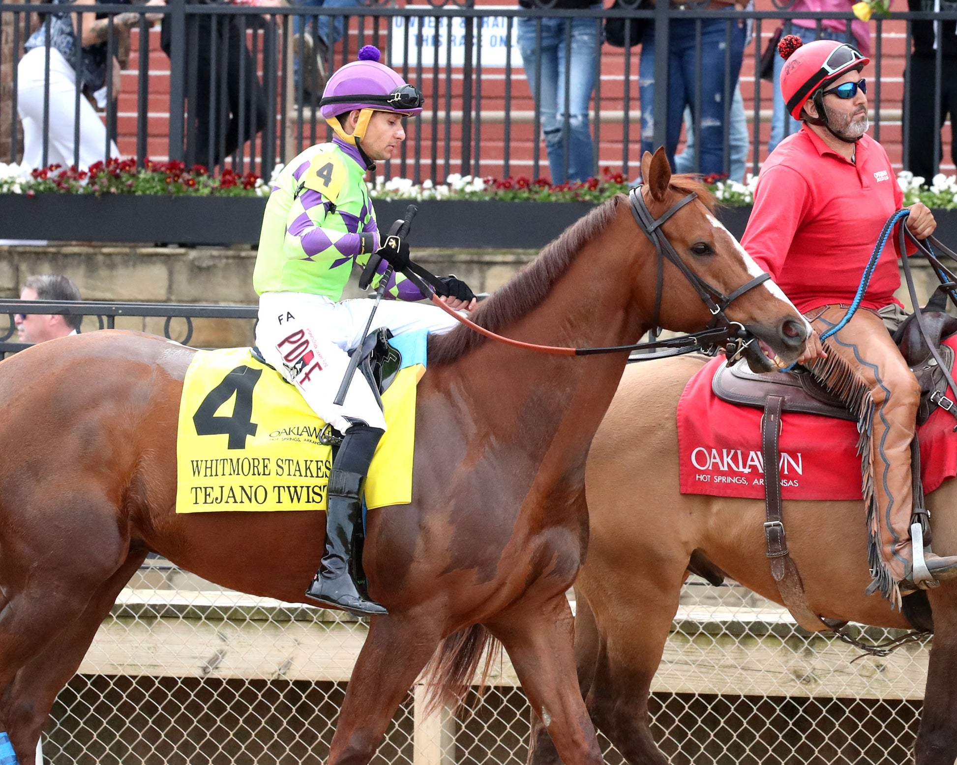 TEJANO TWIST - Whitmore Stakes G3 - 03-14-26 - R10 - OP - Post Parade 01 - Coady Media - Kurtis Coady Photography