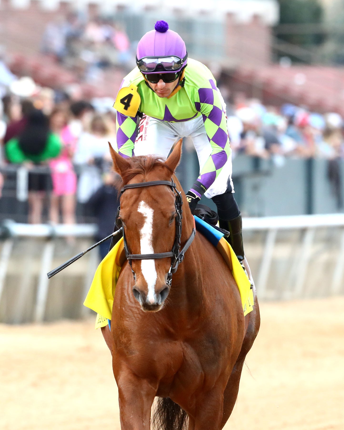 TEJANO TWIST - Whitmore Stakes G3 - 03-14-26 - R10 - OP - Post Parade 02 - Coady Media - Kurtis Coady Photography