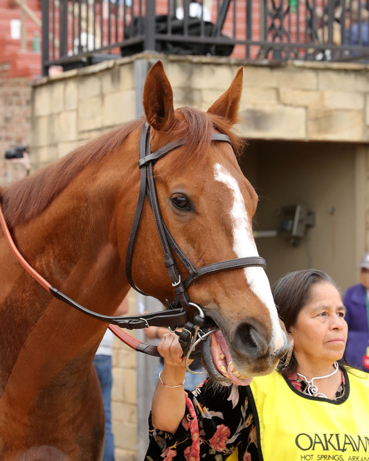 TEJANO TWIST - Whitmore Stakes G3 - 03-14-26 - R10 - OP - Post Parade 04 - Coady Media - Kurtis Coady Photography