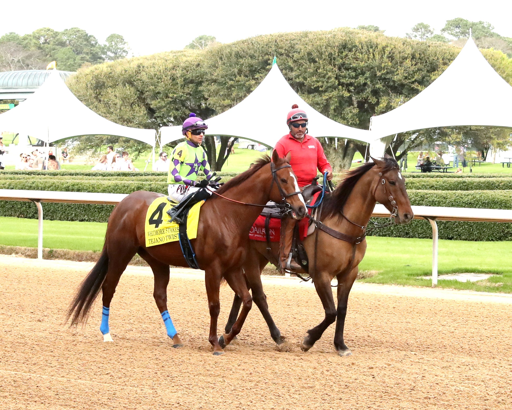 TEJANO TWIST - Whitmore Stakes G3 - 03-14-26 - R10 - OP - Post Parade 05 - Coady Media - Kurtis Coady Photography