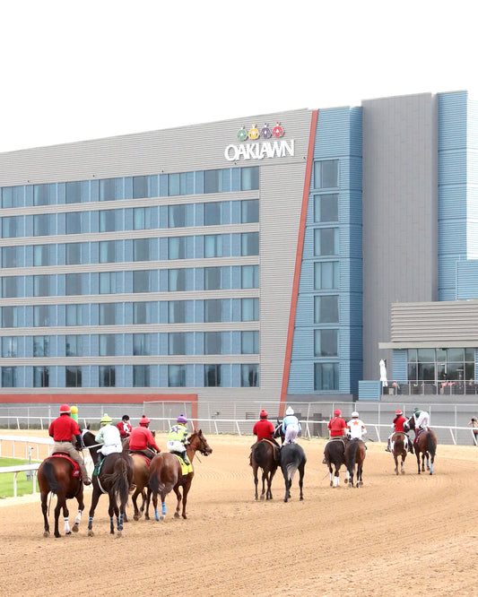 TEJANO TWIST - Whitmore Stakes G3 - 03-14-26 - R10 - OP - Post Parade 06 - Coady Media - Kurtis Coady Photography