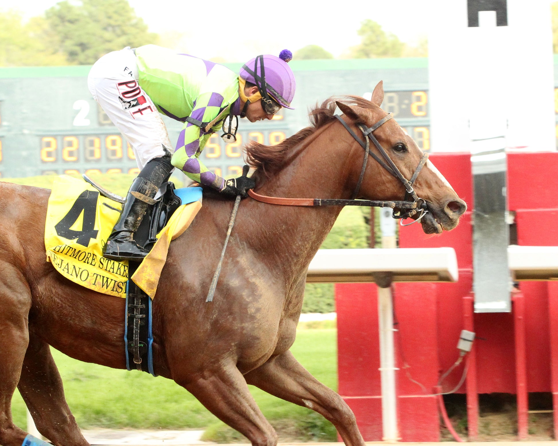 TEJANO TWIST - Whitmore Stakes G3 - 03-14-26 - R10 - OP - Tight Finish 01 - Coady Media - Kurtis Coady Photography