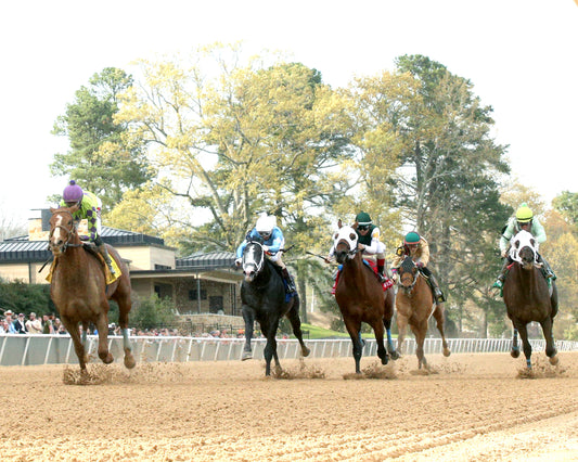 TEJANO TWIST - Whitmore Stakes G3 - 03-14-26 - R10 - OP - Under Rail 01 - Coady Media - Kurtis Coady Photography