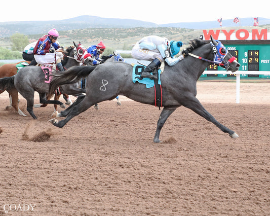 TELL JUNIOR - 307HR Wyoming Bred Juvenile - 06-27-26 - R04 - WYO