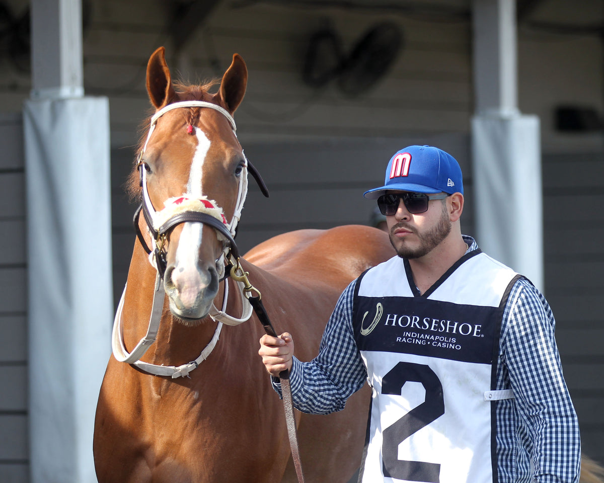TEXAS SWAGGER 123 - Governors Juvenile Stakes - 10-24-26 - R08 - Horseshoe Indiana - Paddock 01 - Casey Cable - Coady Media - Kurtis Coady Photography