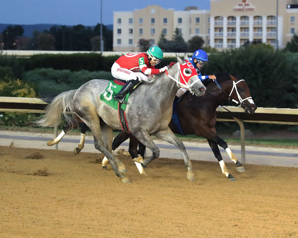THELASTSAY - 082826 - Race 06 - CT  Autumn WVB Overnight Stakes - Finish 02
