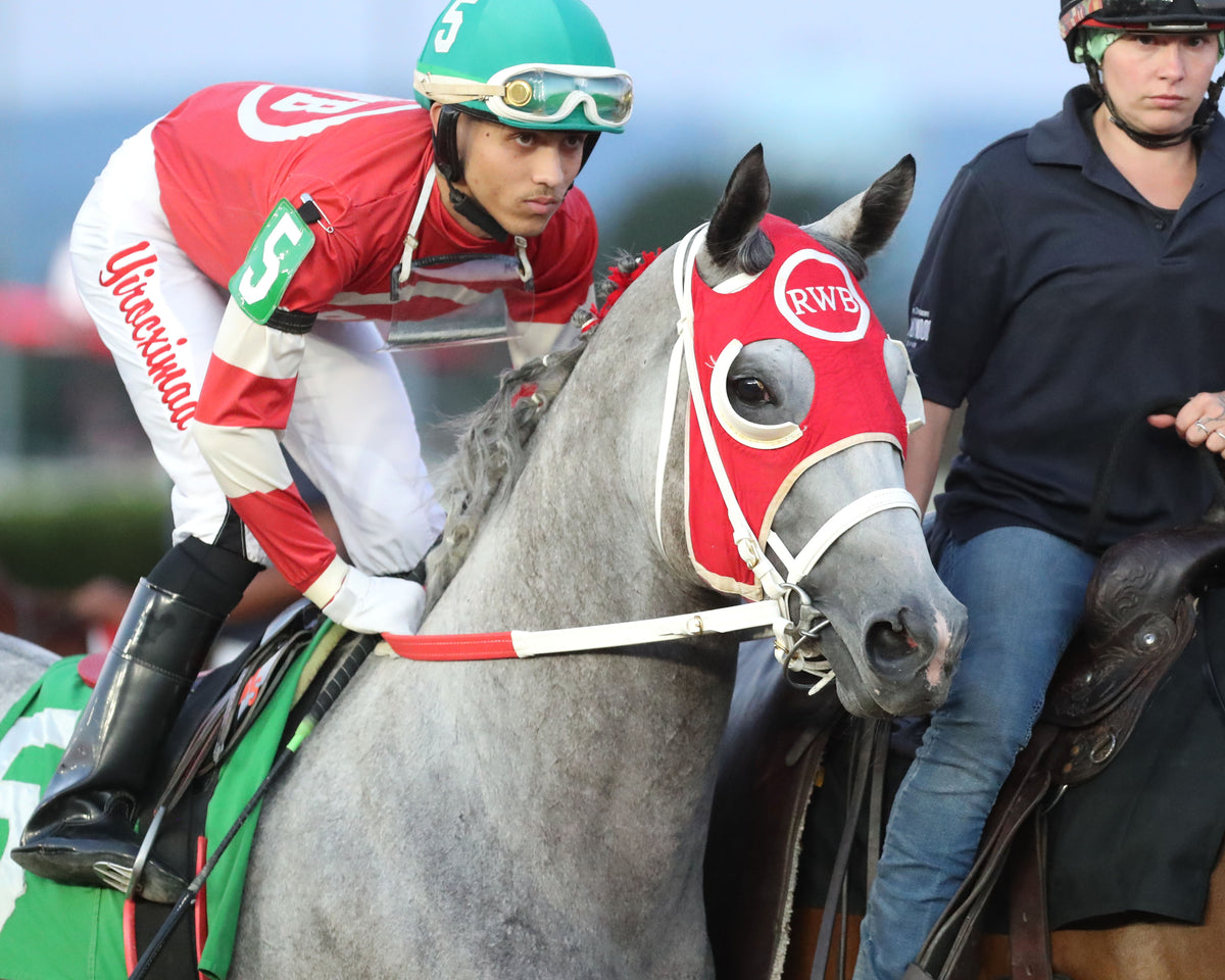 THELASTSAY - 082826 - Race 06 - CT  Autumn WVB Overnight Stakes - Post Parade 01