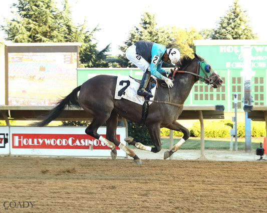 THE SKY IS FALLING - 082225 - Race 05 - CT - Finish 01