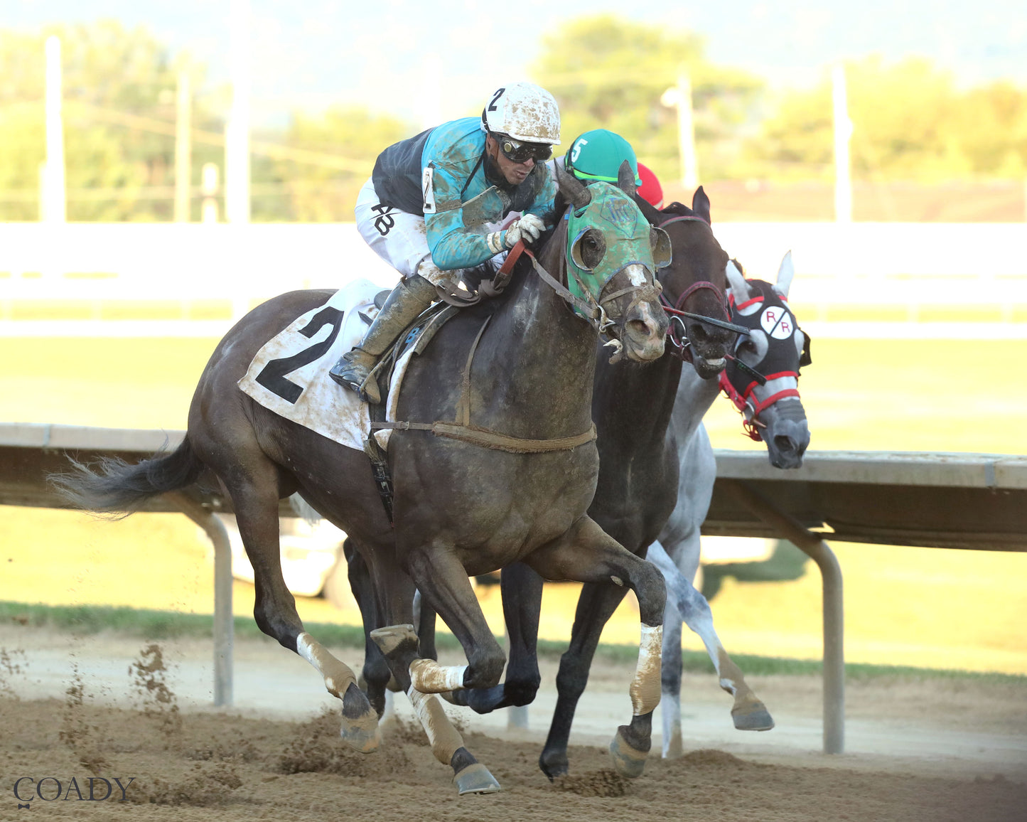 THE SKY IS FALLING - 082225 - Race 05 - CT - Finish 02 - Coady Media - Kurtis Coady Photography