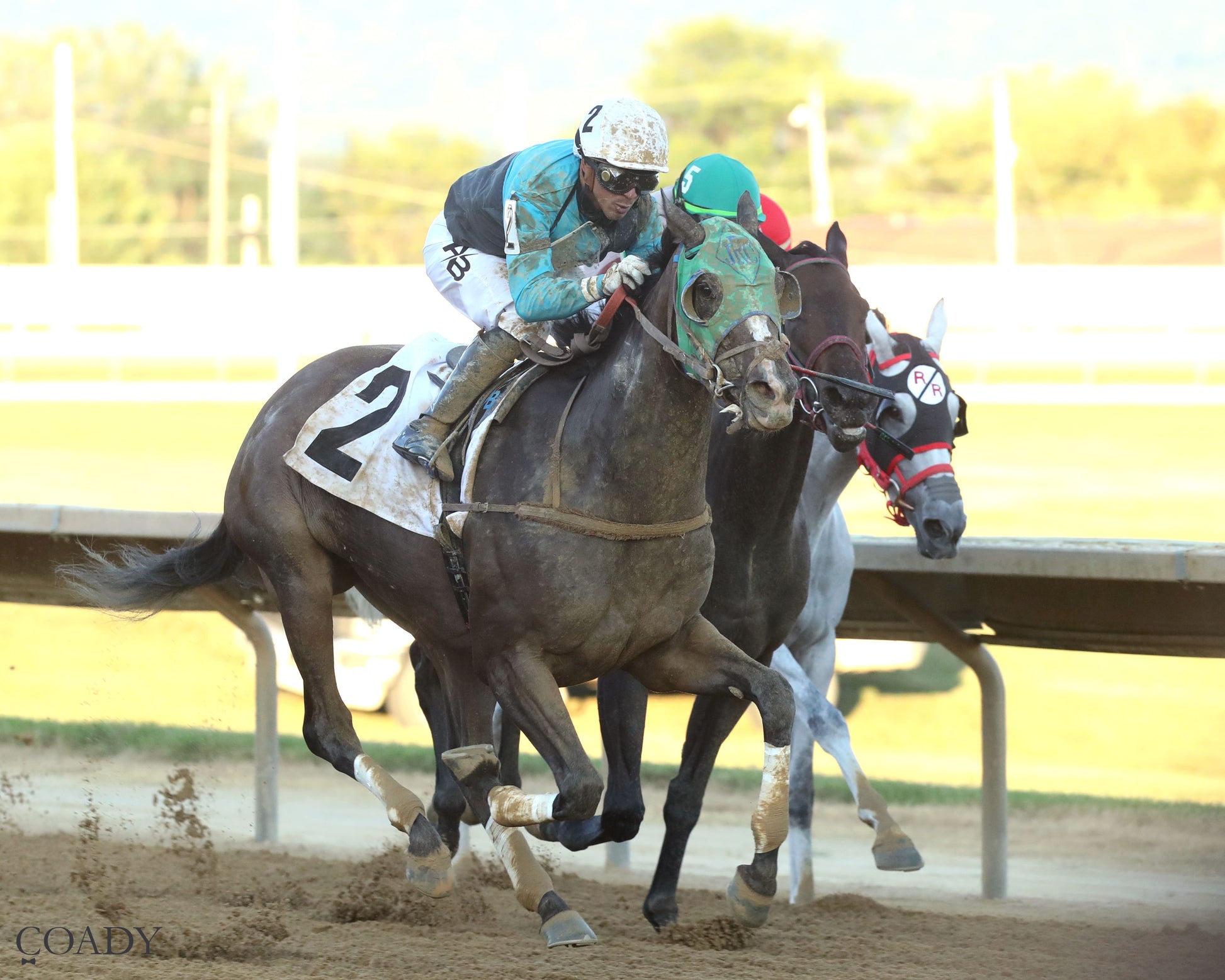 THE SKY IS FALLING - 082225 - Race 05 - CT - Finish 02 - Coady Media - Kurtis Coady Photography