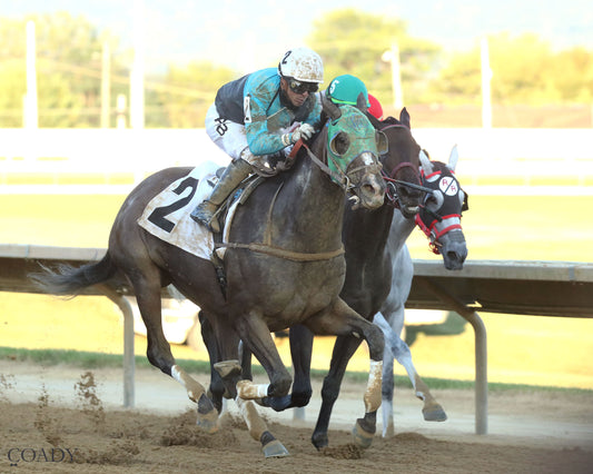 THE SKY IS FALLING - 082225 - Race 05 - CT - Finish 02