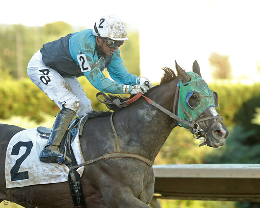 THE SKY IS FALLING - 082225 - Race 05 - CT - Finish 03