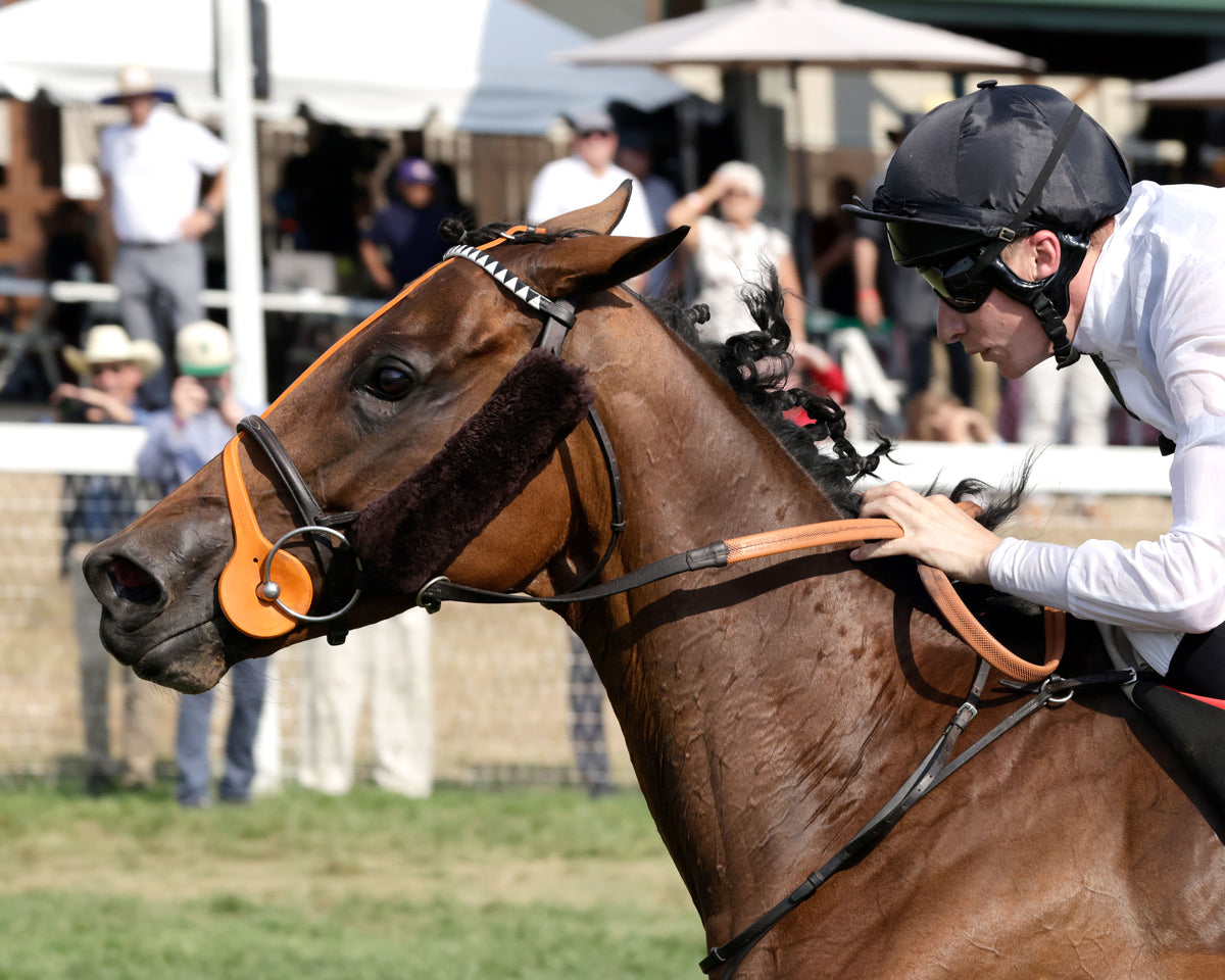 TIFFANY - The AGS Kentucky Turf Cup Invitational G2 - 09-05-26 - R07 - KD - Inside Finish 01