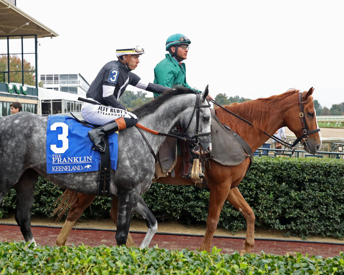 TIME TO DAZZLE - 101126 - Race 08 - KEE  The Franklin G2 - Post Parade 03