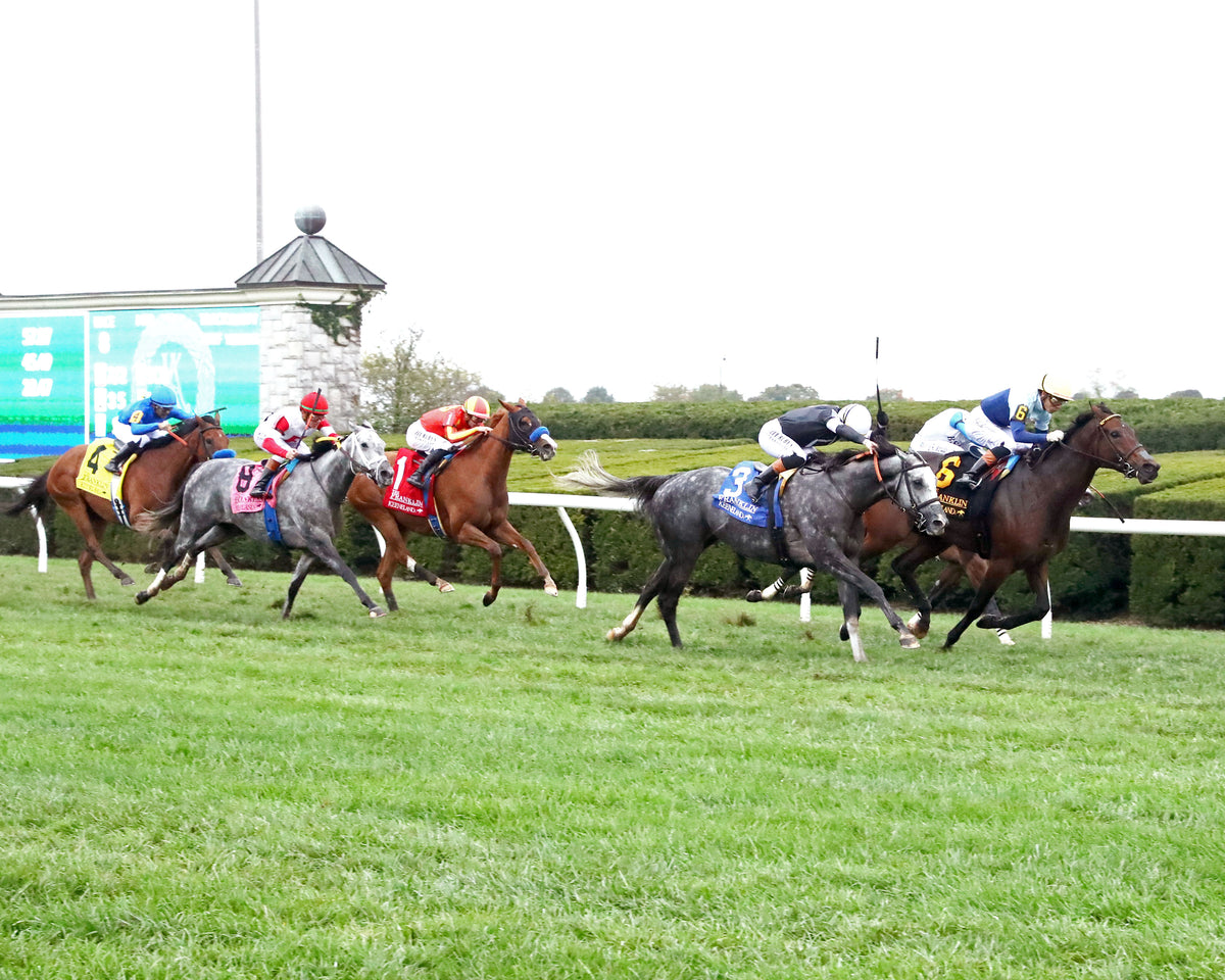 TIME TO DAZZLE - 101126 - Race 08 - KEE  The Franklin G2 - Up Track 01