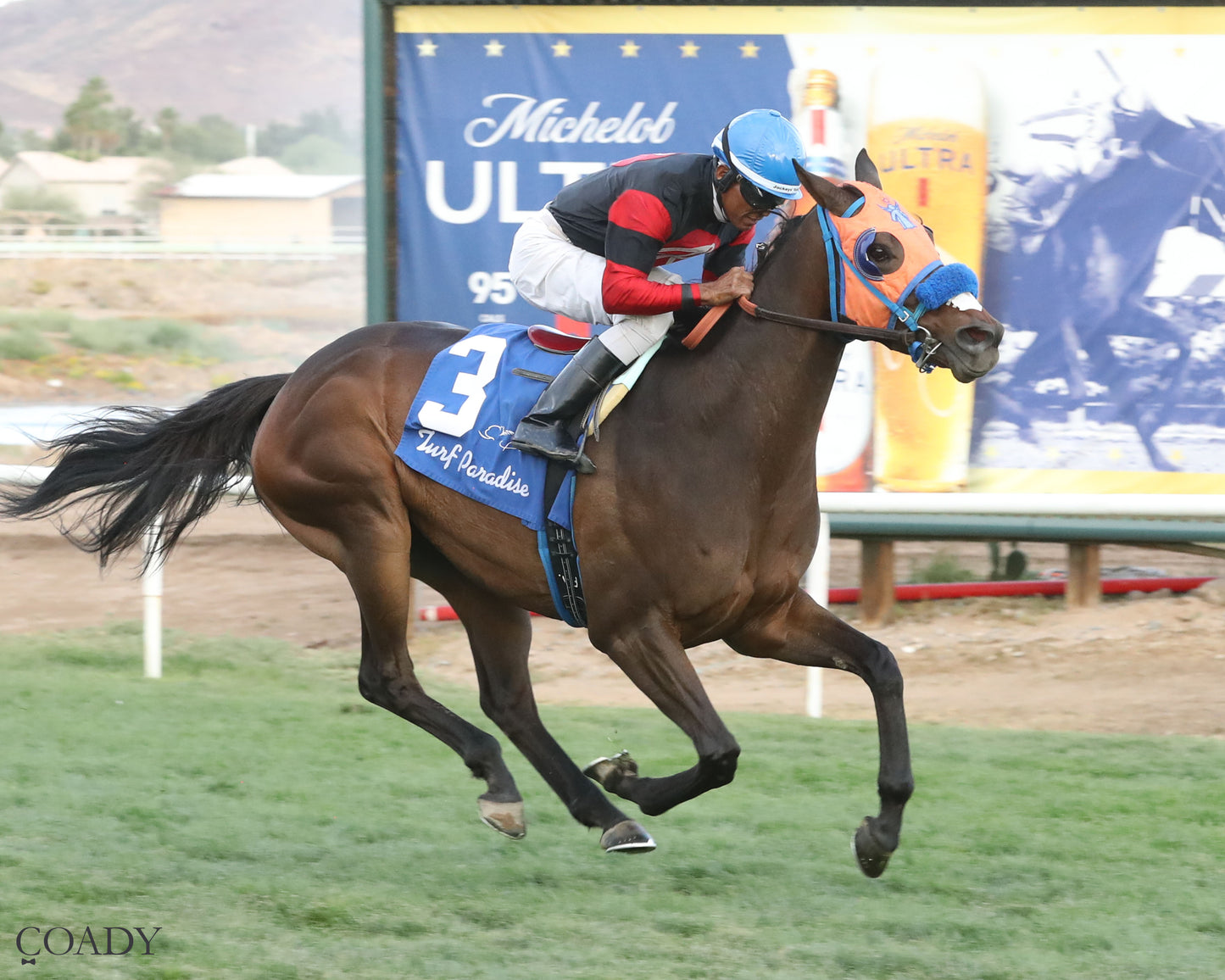 TIME TO FLY - Dwight D Patterson - 04-25-26 - R09 - Turf Paradise - Finish 2 - Coady Media - Kurtis Coady Photography