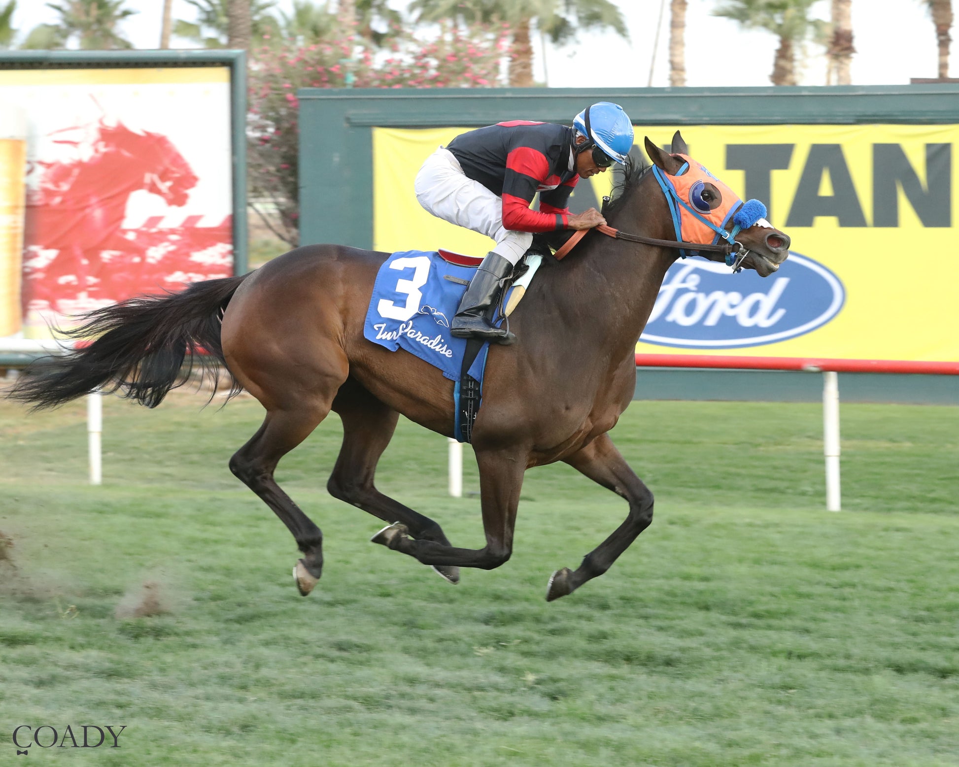 TIME TO FLY - Dwight D Patterson - 04-25-26 - R09 - Turf Paradise - Finish - Coady Media - Kurtis Coady Photography