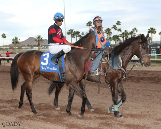 TIME TO FLY - Dwight D Patterson - 04-25-26 - R09 - Turf Paradise -Post Parade - Coady Media - Kurtis Coady Photography